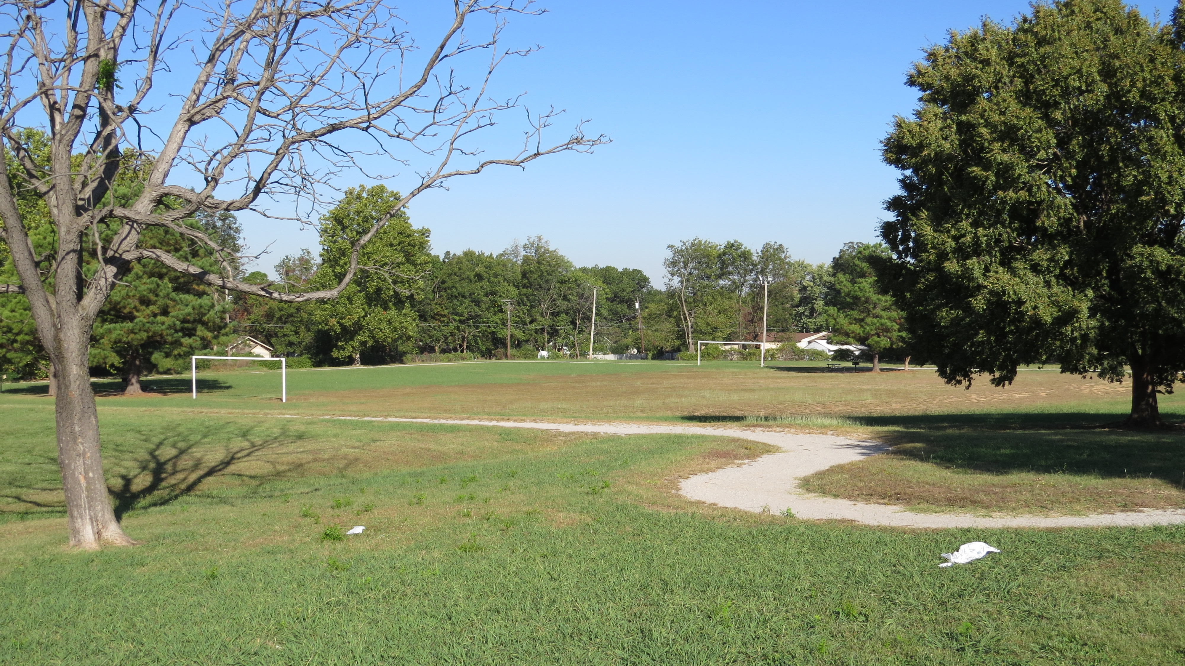 Image from Springdale Park taken on Thursday 16th of October 2025
